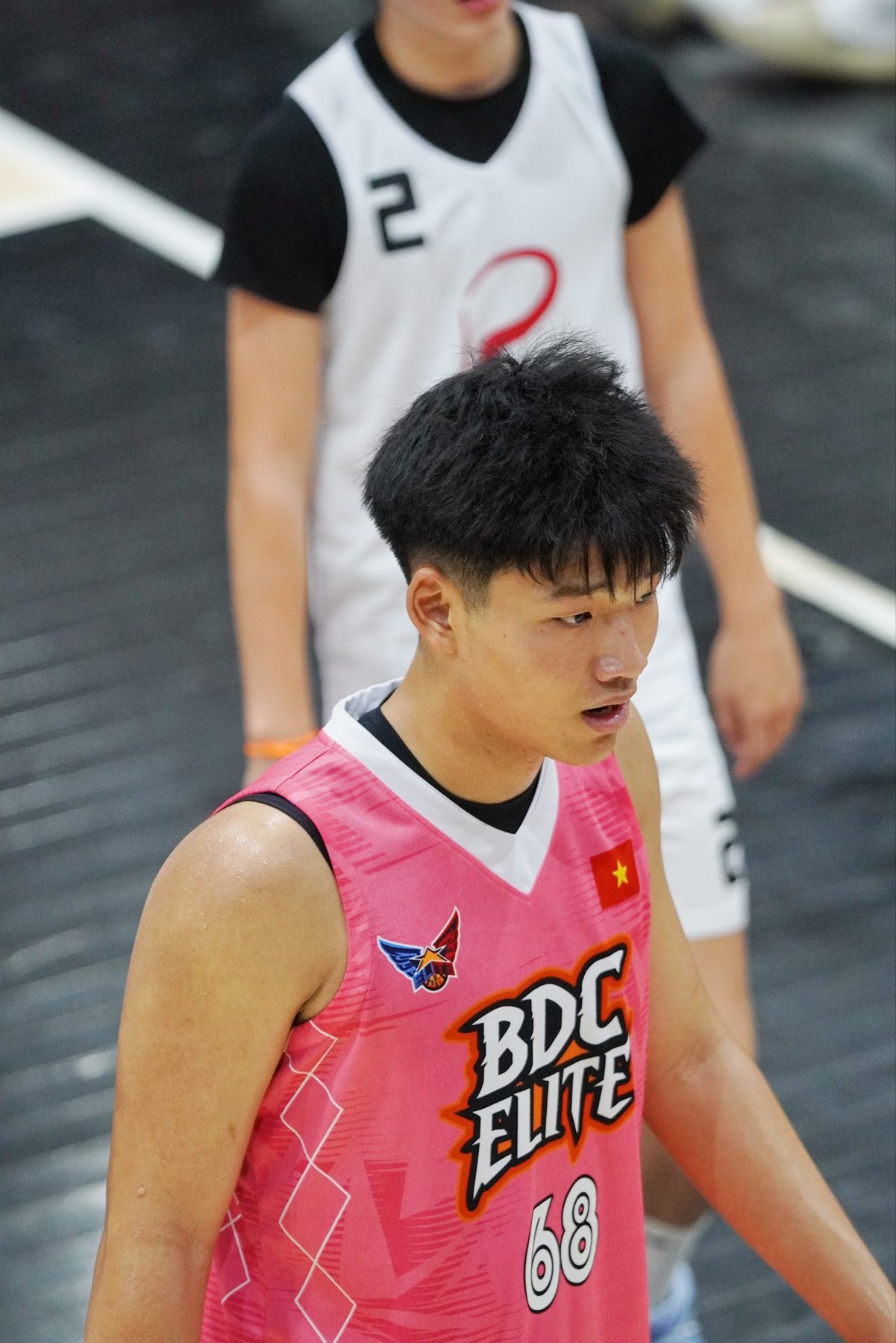 BDC Elite
